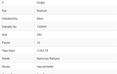 Bodrum-Bitez'de yatırımlık arsa