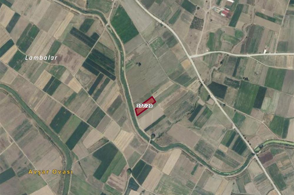 C21 BAL'DAN KOCAAVŞAR'DA GÖKÇEYAZI'YA YAKIN SATILIK TARLA