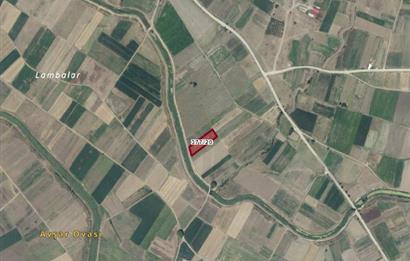 C21 BAL'DAN KOCAAVŞAR'DA GÖKÇEYAZI'YA YAKIN SATILIK TARLA