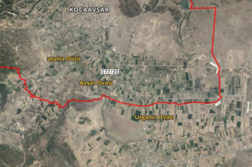 C21 BAL'DAN KOCAAVŞAR'DA GÖKÇEYAZI'YA YAKIN SATILIK TARLA