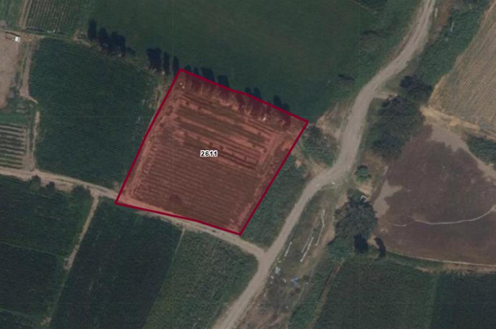 CENTURY21 BAL'DAN BALIKLI DA  MEYVE BAHÇESİ