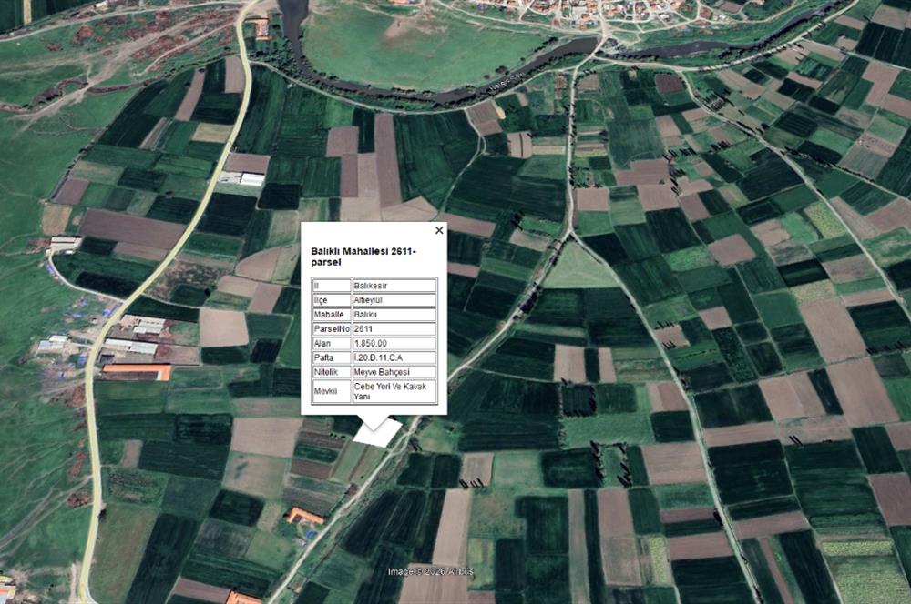 CENTURY21 BAL'DAN BALIKLI DA  MEYVE BAHÇESİ