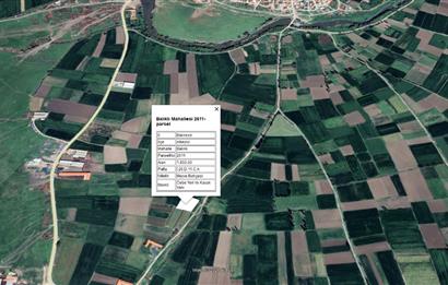 CENTURY21 BAL'DAN BALIKLI DA  MEYVE BAHÇESİ