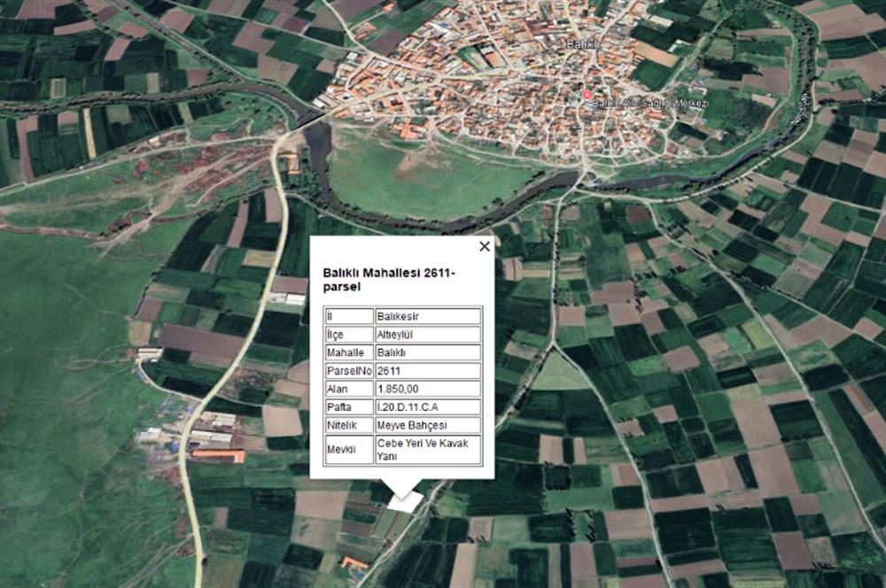 CENTURY21 BAL'DAN BALIKLI DA  MEYVE BAHÇESİ