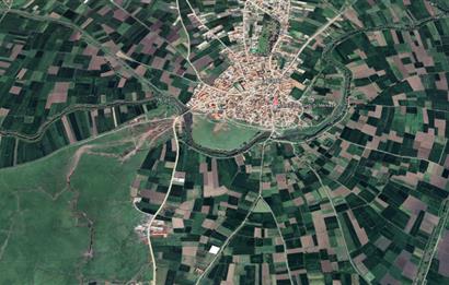 CENTURY21 BAL'DAN BALIKLI DA  MEYVE BAHÇESİ