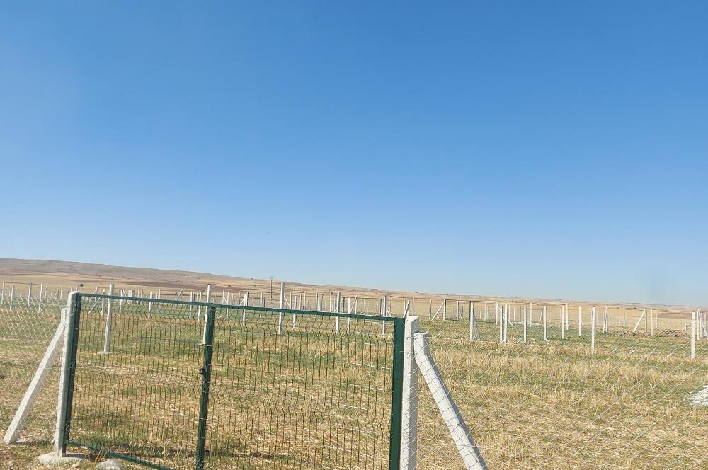 GÖLBAŞI ÇAYIRLI’DA 425 M² HOBİ BAHÇESİ