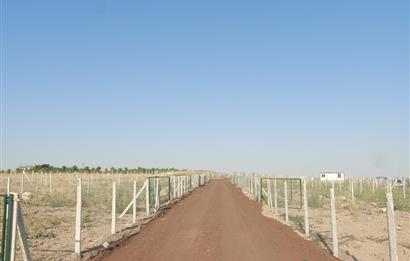 GÖLBAŞI ÇAYIRLI’DA 425 M² HOBİ BAHÇESİ