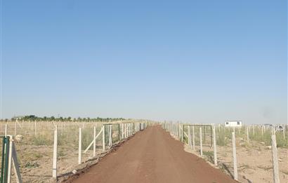 GÖLBAŞI ÇAYIRLI’DA 425 M² HOBİ BAHÇESİ