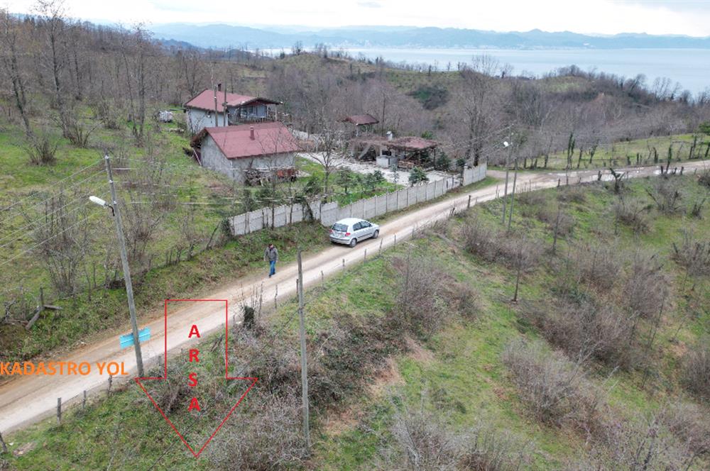 🌿 PERŞEMBE ÇAYTEPE’DE DENİZ MANZARALI 2.252 m² YATIRIM FIRSATI 🌊