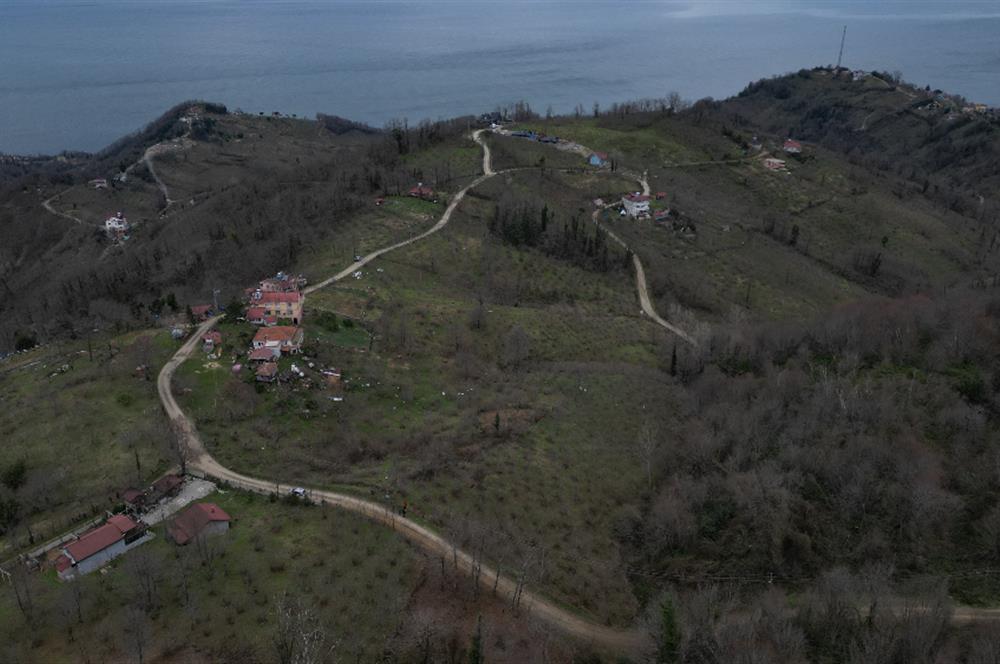 🌿 PERŞEMBE ÇAYTEPE’DE DENİZ MANZARALI 2.252 m² YATIRIM FIRSATI 🌊