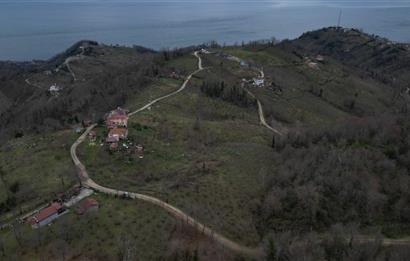 🌿 PERŞEMBE ÇAYTEPE’DE DENİZ MANZARALI 2.252 m² YATIRIM FIRSATI 🌊