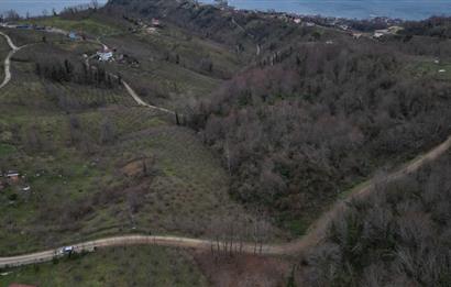 🌿 PERŞEMBE ÇAYTEPE’DE DENİZ MANZARALI 2.252 m² YATIRIM FIRSATI 🌊