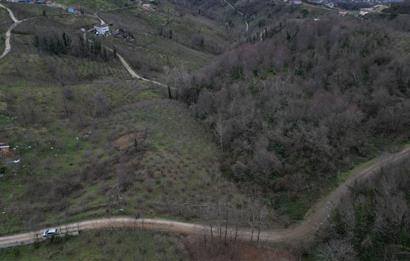 🌿 PERŞEMBE ÇAYTEPE’DE DENİZ MANZARALI 2.252 m² YATIRIM FIRSATI 🌊