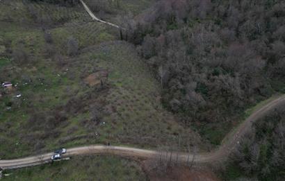 🌿 PERŞEMBE ÇAYTEPE’DE DENİZ MANZARALI 2.252 m² YATIRIM FIRSATI 🌊