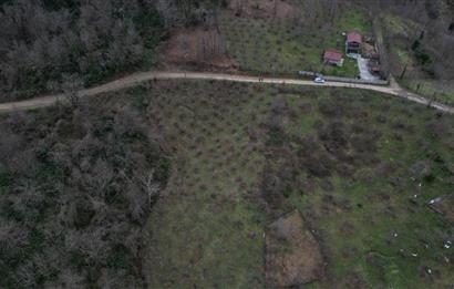 🌿 PERŞEMBE ÇAYTEPE’DE DENİZ MANZARALI 2.252 m² YATIRIM FIRSATI 🌊