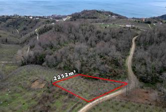 🌿 PERŞEMBE ÇAYTEPE’DE DENİZ MANZARALI 2.252 m² YATIRIM FIRSATI 🌊 - 1 - 32088