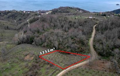 🌿 PERŞEMBE ÇAYTEPE’DE DENİZ MANZARALI 2.252 m² YATIRIM FIRSATI 🌊