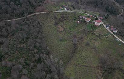 🌿 PERŞEMBE ÇAYTEPE’DE DENİZ MANZARALI 2.252 m² YATIRIM FIRSATI 🌊