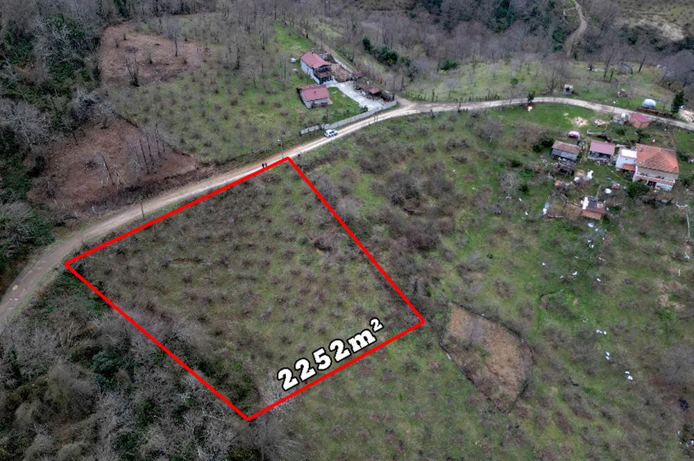 🌿 PERŞEMBE ÇAYTEPE’DE DENİZ MANZARALI 2.252 m² YATIRIM FIRSATI 🌊