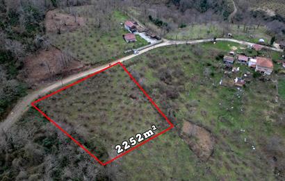 🌿 PERŞEMBE ÇAYTEPE’DE DENİZ MANZARALI 2.252 m² YATIRIM FIRSATI 🌊