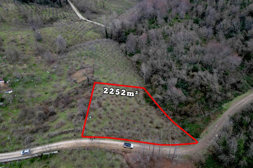 🌿 PERŞEMBE ÇAYTEPE’DE DENİZ MANZARALI 2.252 m² YATIRIM FIRSATI 🌊