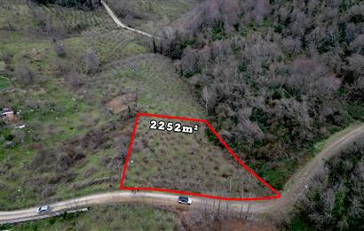 🌿 PERŞEMBE ÇAYTEPE’DE DENİZ MANZARALI 2.252 m² YATIRIM FIRSATI 🌊