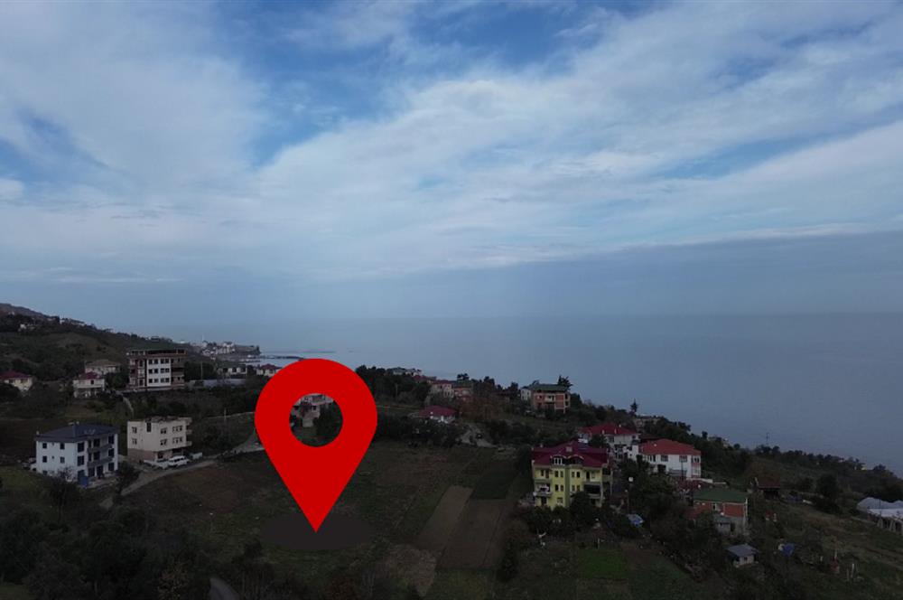 M21 TEAM'DEN SALACIK-AKÇAABAT'TA SATILIK ARAZİ