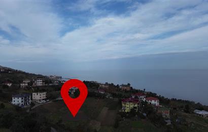 M21 TEAM'DEN SALACIK-AKÇAABAT'TA SATILIK ARAZİ