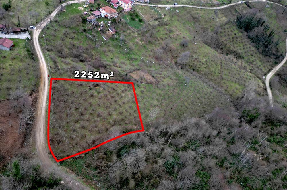 🌿 PERŞEMBE ÇAYTEPE’DE DENİZ MANZARALI 2.252 m² YATIRIM FIRSATI 🌊