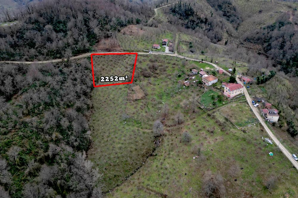 🌿 PERŞEMBE ÇAYTEPE’DE DENİZ MANZARALI 2.252 m² YATIRIM FIRSATI 🌊