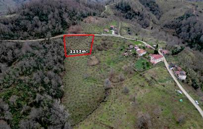 🌿 PERŞEMBE ÇAYTEPE’DE DENİZ MANZARALI 2.252 m² YATIRIM FIRSATI 🌊