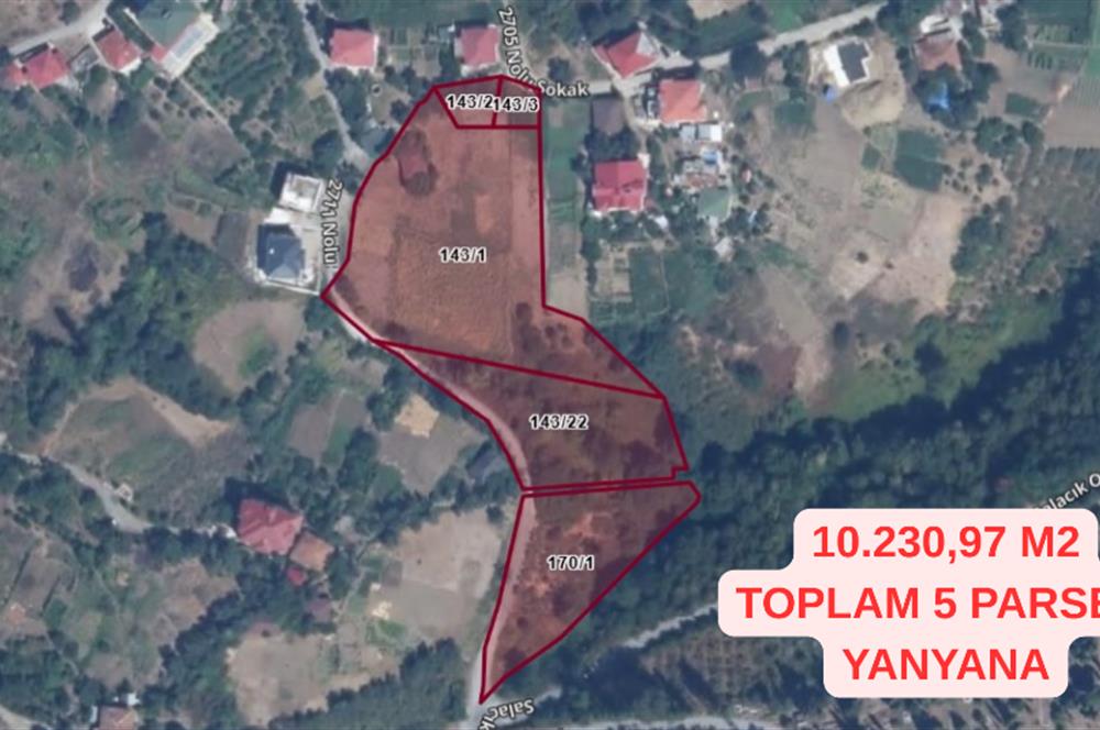 M21 TEAM'DEN SALACIK-AKÇAABAT'TA SATILIK ARAZİ