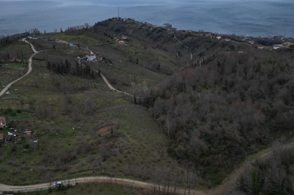 🌿 PERŞEMBE ÇAYTEPE’DE DENİZ MANZARALI 2.252 m² YATIRIM FIRSATI 🌊