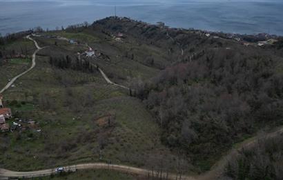 🌿 PERŞEMBE ÇAYTEPE’DE DENİZ MANZARALI 2.252 m² YATIRIM FIRSATI 🌊