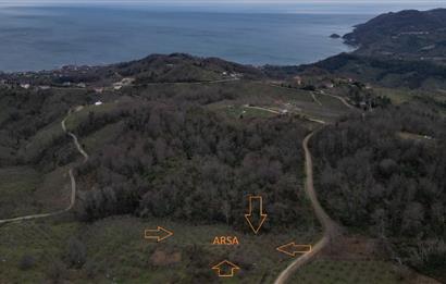 🌿 PERŞEMBE ÇAYTEPE’DE DENİZ MANZARALI 2.252 m² YATIRIM FIRSATI 🌊