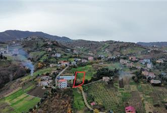 M21 TEAM'den AKÇAABAT SALACIK'ta ARSA - 3 - 32071