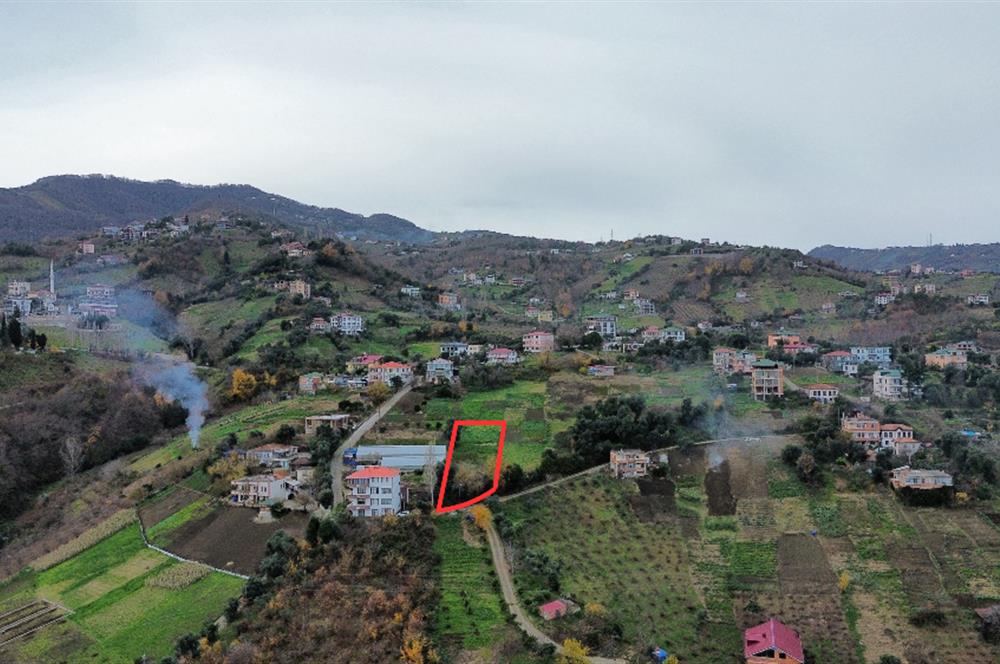 M21 TEAM'den AKÇAABAT SALACIK'ta ARSA