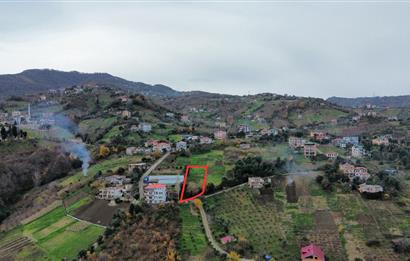 M21 TEAM'den AKÇAABAT SALACIK'ta ARSA