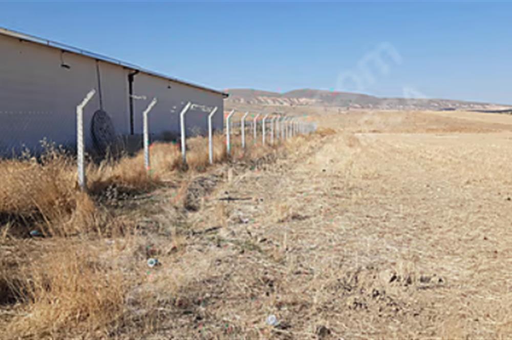 Niğde Ulukışla Kemalpaşa'da 11.563 m² Satılık Tarla