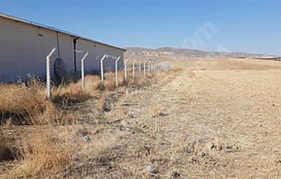 Niğde Ulukışla Kemalpaşa'da 11.563 m² Satılık Tarla