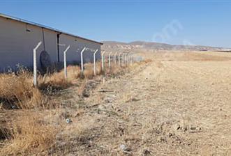 Niğde Ulukışla Kemalpaşa'da 11.563 m² Satılık Tarla - 1 - 32067