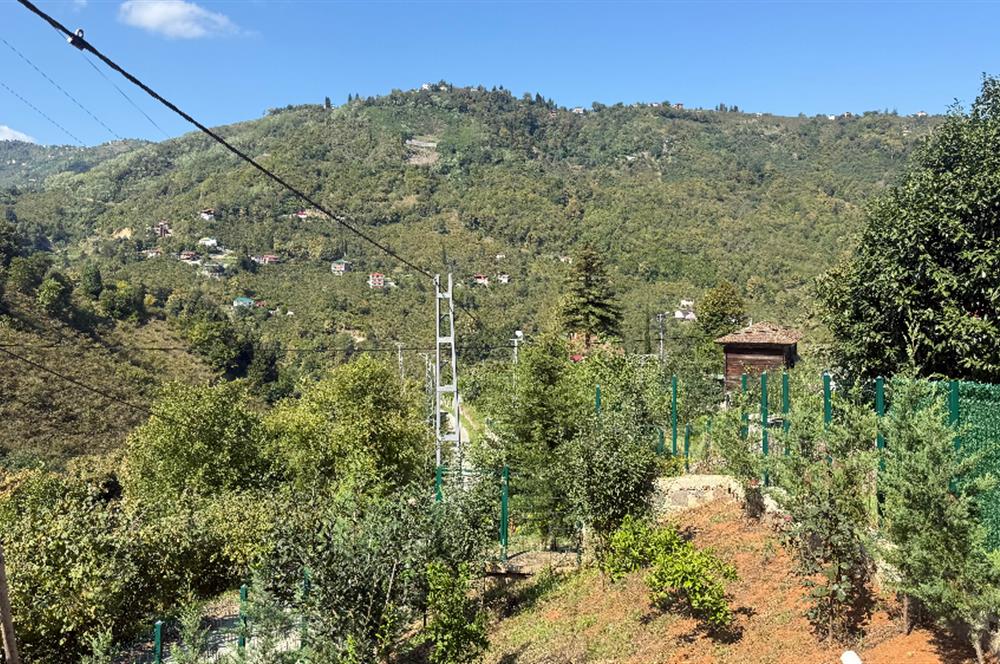 TRABZON YOMRA İKİSU'DA DOĞA İÇİNDE SATILIK BUNGALOV