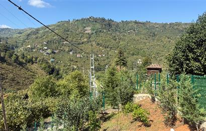 TRABZON YOMRA İKİSU'DA DOĞA İÇİNDE SATILIK BUNGALOV