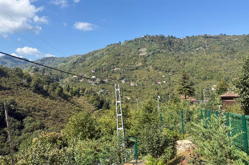 TRABZON YOMRA İKİSU'DA DOĞA İÇİNDE SATILIK BUNGALOV