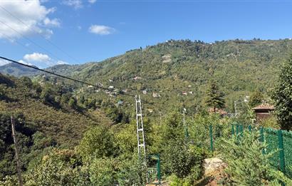 TRABZON YOMRA İKİSU'DA DOĞA İÇİNDE SATILIK BUNGALOV