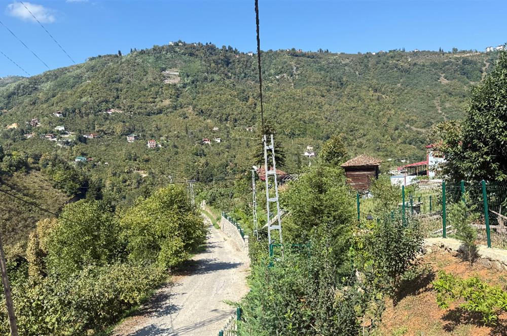 TRABZON YOMRA İKİSU'DA DOĞA İÇİNDE SATILIK BUNGALOV