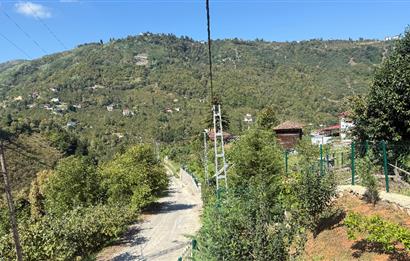 TRABZON YOMRA İKİSU'DA DOĞA İÇİNDE SATILIK BUNGALOV