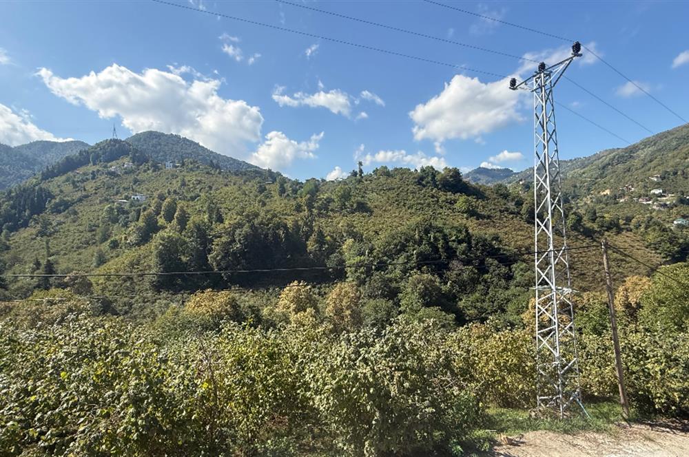 TRABZON YOMRA İKİSU'DA DOĞA İÇİNDE SATILIK BUNGALOV