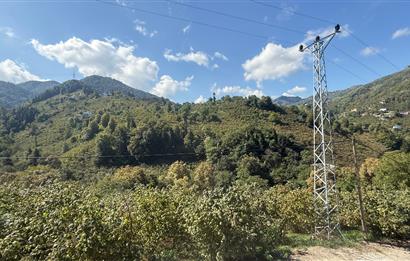 TRABZON YOMRA İKİSU'DA DOĞA İÇİNDE SATILIK BUNGALOV