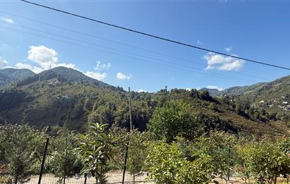 TRABZON YOMRA İKİSU'DA DOĞA İÇİNDE SATILIK BUNGALOV